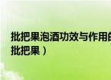 批把果泡酒功效与作用的功效和作用是什么的功效与作用（批把果）