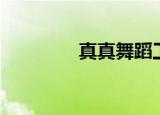 真真舞蹈工作室（真舞团）
