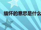 缅怀的意思是什么意思啊（缅怀什么意思）