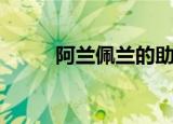 阿兰佩兰的助理教练（阿兰佩兰）