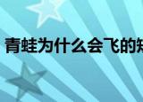 青蛙为什么会飞的短视频（青蛙为什么会飞）