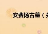 安费扬古墓（关于安费扬古墓介绍）