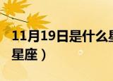 11月19日是什么星座女生（11月19日是什么星座）