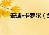 安迪·卡罗尔（关于安迪·卡罗尔介绍）