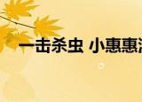 一击杀虫 小惠惠漫画（一击杀虫小惠惠）