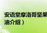 安语堂摩洛哥坚果油（关于安语堂摩洛哥坚果油介绍）