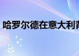 哈罗尔德在意大利背景（哈罗尔德在意大利）