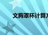 文胸罩杯计算方法（文胸罩杯计算）