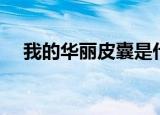 我的华丽皮囊是什么歌（我的华丽皮囊）