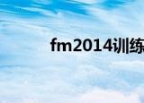 fm2014训练（fm2008训练包）