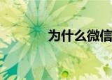  为什么微信电脑版双击打不开