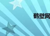 鹤壁网吧（鹤壁网）