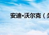 安迪·沃尔克（关于安迪·沃尔克介绍）