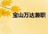 宝山万达兼职（宝山万达广场招聘）