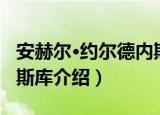 安赫尔·约尔德内斯库（关于安赫尔·约尔德内斯库介绍）