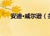 安迪·威尔逊（关于安迪·威尔逊介绍）