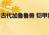 古代加鲁鲁兽 铠甲加鲁鲁兽（古代加鲁鲁兽）