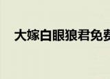 大嫁白眼狼君免费阅读（大嫁 白眼狼君）