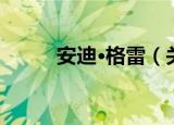 安迪·格雷（关于安迪·格雷介绍）