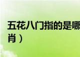 五花八门指的是哪个生肖（五花八门是什么生肖）