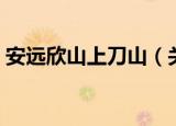 安远欣山上刀山（关于安远欣山上刀山介绍）