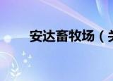安达畜牧场（关于安达畜牧场介绍）