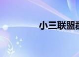小三联盟群（反小三联盟）