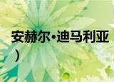 安赫尔·迪马利亚（关于安赫尔·迪马利亚介绍）