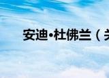 安迪·杜佛兰（关于安迪·杜佛兰介绍）