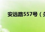安远路557号（关于安远路557号介绍）