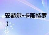 安赫尔·卡斯特罗（关于安赫尔·卡斯特罗介绍）