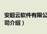 安超云软件有限公司（关于安超云软件有限公司介绍）