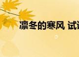 凛冬的寒风 试读章节（凛冬的寒风）