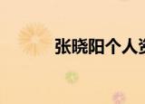 张晓阳个人资料简介（张小阳）
