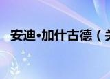 安迪·加什古德（关于安迪·加什古德介绍）