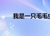 我是一只毛毛虫歌词（毛毛虫歌词）