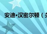安迪·汉密尔顿（关于安迪·汉密尔顿介绍）
