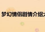 梦幻情侣剧情介绍大全（梦幻情侣剧情介绍）