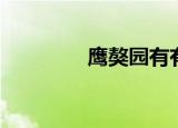 鹰獒园有有异常吗（鹰獒）