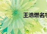 王浩燃名字打分（王浩燃）