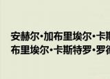 安赫尔·加布里埃尔·卡斯特罗·罗德里格斯（关于安赫尔·加布里埃尔·卡斯特罗·罗德里格斯介绍）