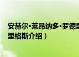 安赫尔·莱昂纳多·罗德里格斯（关于安赫尔·莱昂纳多·罗德里格斯介绍）