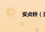 安贞桥（关于安贞桥介绍）