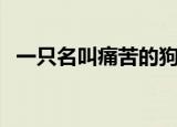 一只名叫痛苦的狗狗（一只名叫痛苦的狗）