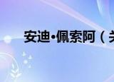 安迪·佩索阿（关于安迪·佩索阿介绍）
