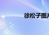 徐松子图片大全（徐松子）