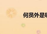 何员外是哪里人（何员外）