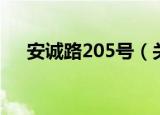 安诚路205号（关于安诚路205号介绍）
