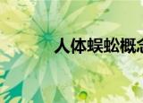 人体蜈蚣概念（人体蜈蚣简介）