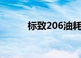 标致206油耗大（标致206油耗）